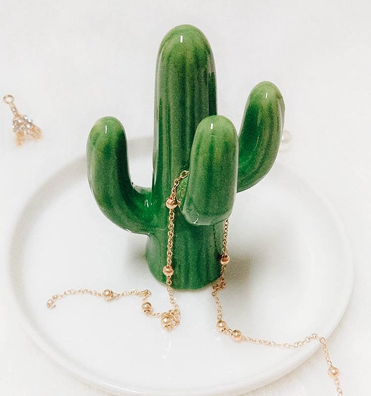 Cactus Jewelry Holder