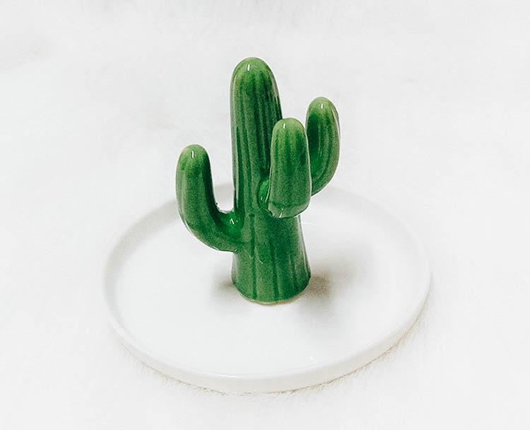 Cactus Jewelry Organizer