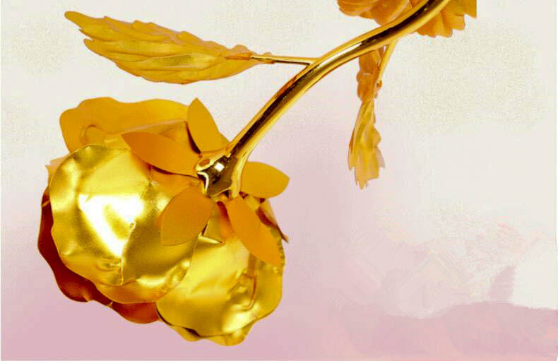 Gold Foil Plated Rose