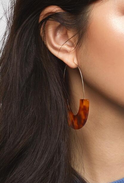 Hook Acrylic Drop Earrings